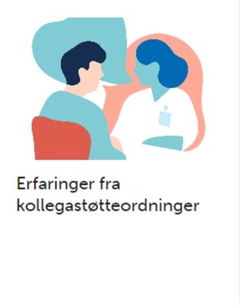 rapport erfaringer fra kollegastøtteordninger bilde og tittel