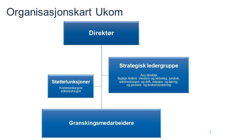 Organisasjonskart vist som bokser. Øverst direktør, neste boks strategisk ledergruppe, neste boks støttefunksjoner, neste boks granskingsmedarbeidere