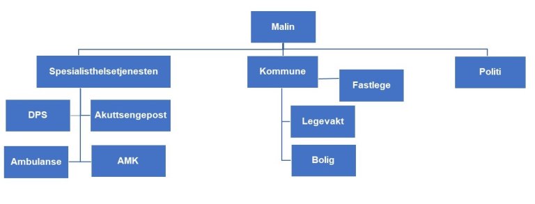 Involverte aktører rundt Malin. Tegnet som et organisasjonskart.